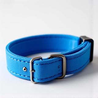 A durable, bright river blue dog collar with a comfortable padded interior.